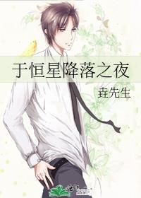 于恒星降落之夜TXT免费