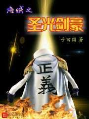 海贼之圣光剑豪TXT